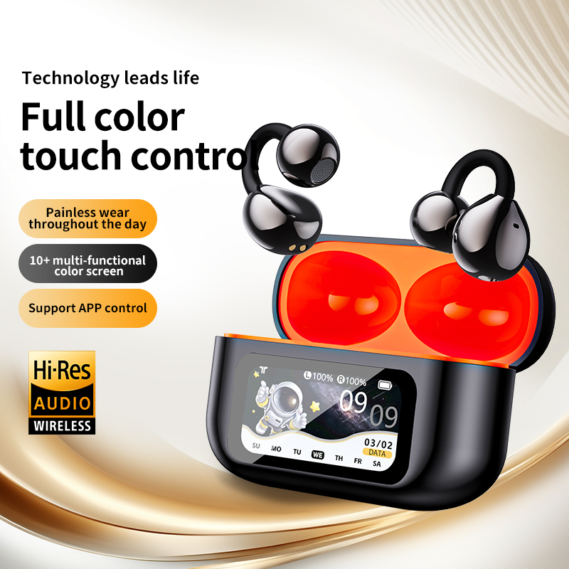 AI Translation Headphones True - đánh giá và giá Headphones