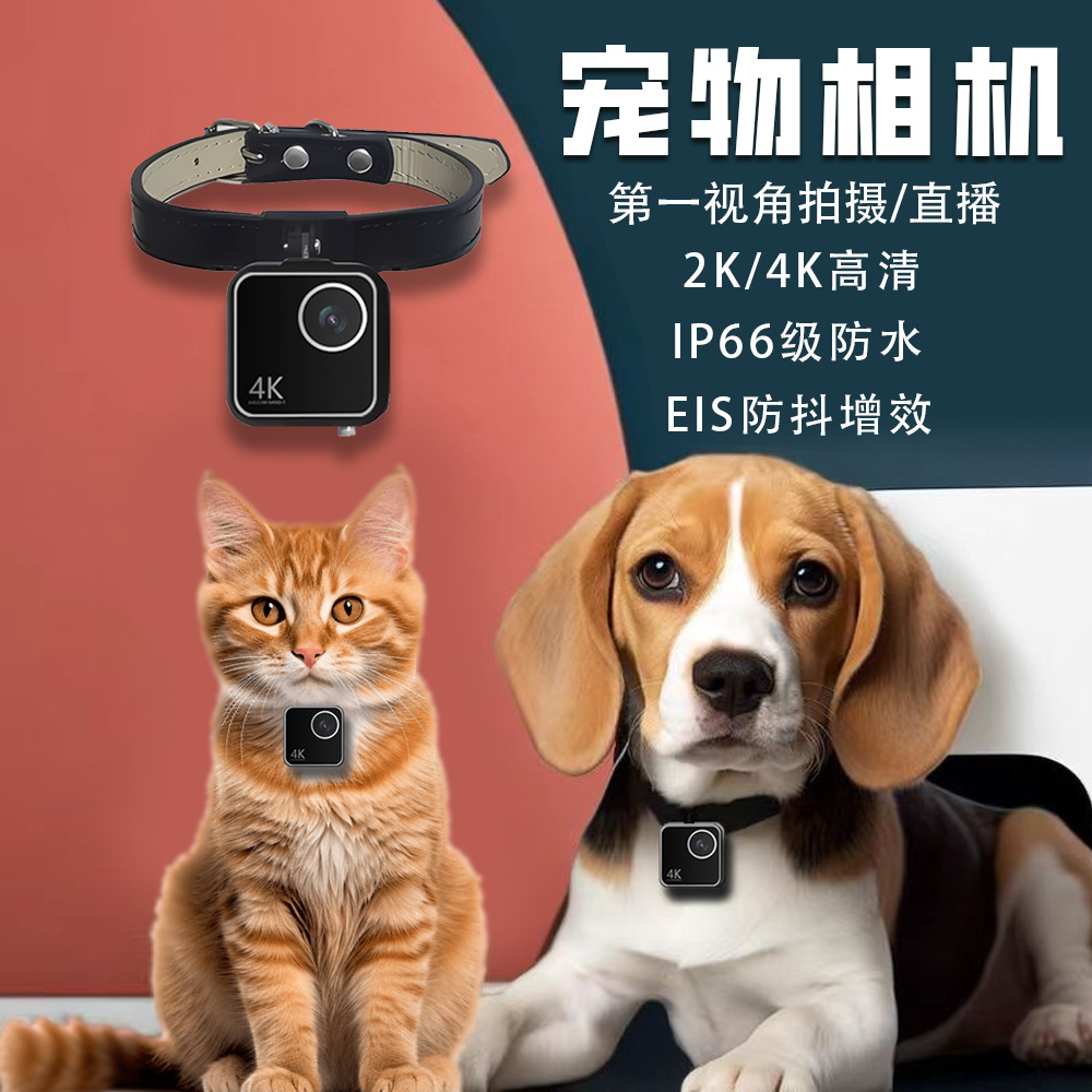Animal cat dog pet camera firs - đánh giá và giá Cameras