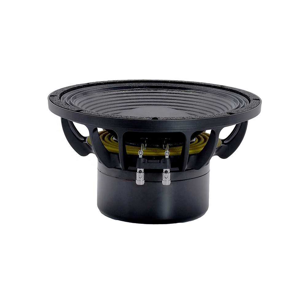 12DS Pro Audio Equipment 12''  - đánh giá và giá Speakers